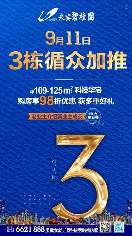bgy14.webp