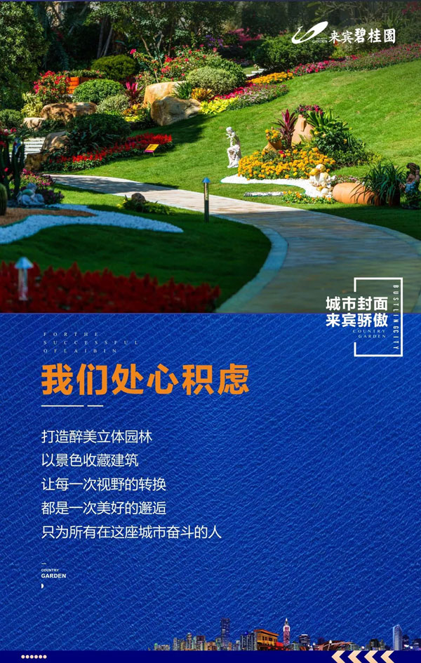 bgy002.webp