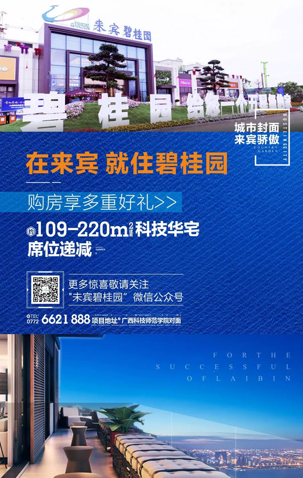 bgy12.webp